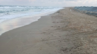 На Кубани на двух пляжах зафиксированы единичные выбросы мазута