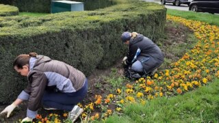 С приходом весны в Краснодаре будет проведено благоустраивают общественные пространства