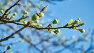 В Краснодаре зафиксировали новый температурный рекорд