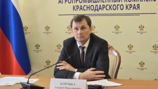 Долю использования отечественных семян планируют нарастить на Кубани