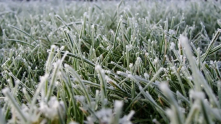 Аномальные морозы сохранятся на Кубани 2 и 3 марта