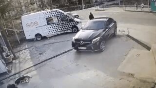 В Туапсе разыскивают водителя автомобиля Mercedes, совершившего наезд на трёх щенков