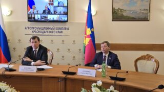 В 2025 году на Кубани нарастят долю использования отечественных семян