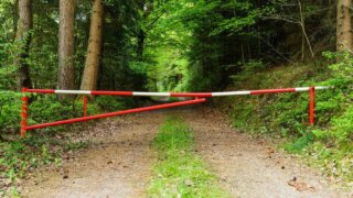 В Краснодарском крае действует особый противопожарный режим