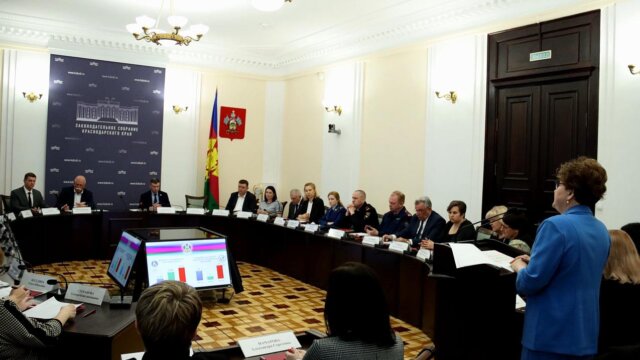 Общественная палата Кубани прокомментировала доклад регионального Уполномоченного по правам ребенка