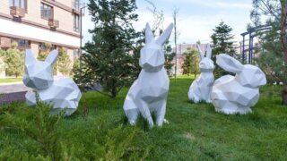 DOGMA высадила более 700 деревьев в микрорайоне «Самолет»