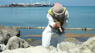 В Анапе очистили половину каменистого пляжа в районе морпорта