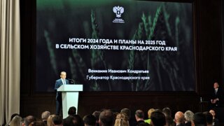 Вениамин Кондратьев предложил защитить виноградопригодные земли на федеральном уровне