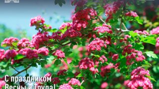 Вениамин Кондратьев и Юрий Бурлачко поздравили жителей Краснодарского края с праздником Весны и Труда