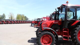 Как развиваются предприятия АПК на Кубани с помощью мер господдержки