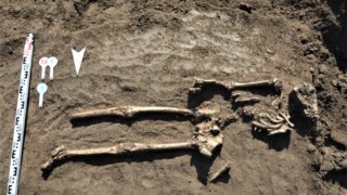 В Темрюкском районе завершили раскопки древнего поселения