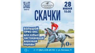 В Краснодаре пройдут скачки, посвященные розыгрышу Большого приза ОКС