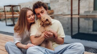 «Мрия» и «Валта Пет Продактс»: новый уровень pet-friendly отдыха в Крыму