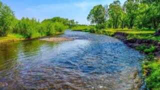 В Краснодарском крае с начала 2025 года на водоемах утонули 26 человек