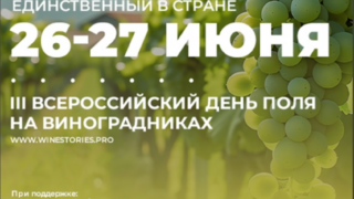 Всероссийский день поля на виноградниках 2025: Рекордные масштабы и новые горизонты для отрасли