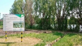 В станице Выселки стартовали работы по улучшению прибрежной зоны