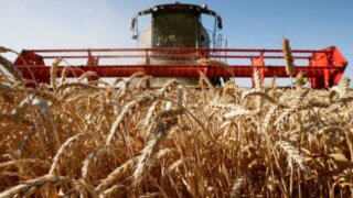 С 2015 года объем инвестиций в АПК Краснодарского края вырос на 139%