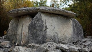 Уникальный барельеф найден в бассейне реки Цусхвадж Сочи