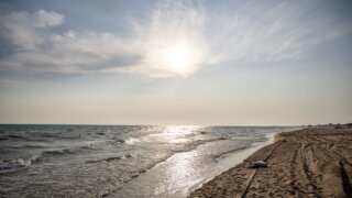 9 нелегальных пляжей нашли в Анапе в зоне действия ЧС