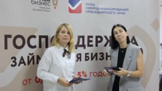 За 10 лет на Кубани количество субъектов МСП выросло более чем на 41 тысячу
