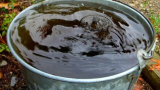 Военкор Стешин едва не лишился зрения из-за душа из ведра
