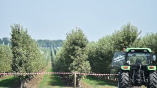 АПК Кубани: поддержка, инвестиции, обновление техники