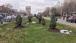 В Краснодаре продолжаются работы по благоустройству и масштабному озеленению территорий