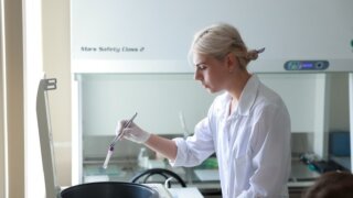 В КубГМУ разрабатывают новый гидрогель для заживления тканей рта