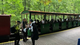 В Гуамском ущелье совершенствуют туристический сервис с помощью принципов бережливого производства