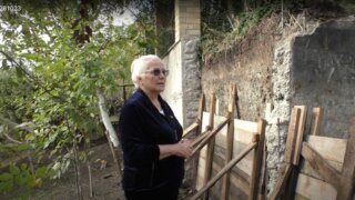 12 лет борьбы с потопом: как соседское строительство превратило райский уголок в болото