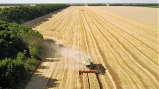 Аграрии на Кубани собрали 9,3 млн тонн зерна
