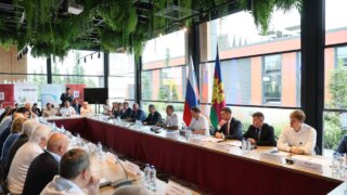 Кондратьев: Площадь виноградников автохтонных сортов на Кубани увеличилась до 550 гектаров