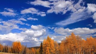 Погода устроит «американские горки» жителям Кубани