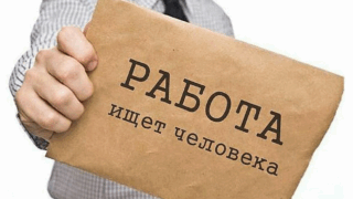 Стала известна самая высокооплачиваемая профессия на Кубани