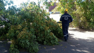 Краснодар сражается со стихией: бушующий ветер нанес городу серьёзные удары