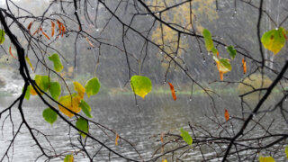 Похолодание и дожди придут на Кубань