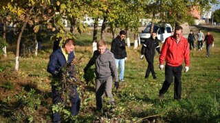 Жители Краснодара навели чистоту на Ростовском шоссе