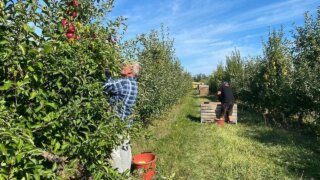 Вопросы поддержки фермеров рассмотрели в администрации Краснодара