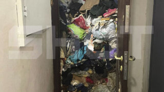 Московский юрист  оставила восьми котам трешку с тонной мусора