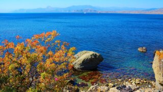 Черное море у берегов Кубани начало резко остывать