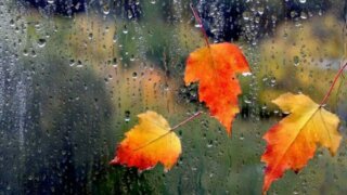 Холодный атмосферный фронт движется на Кубань