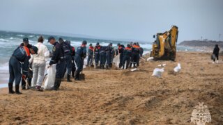 Глава МЧС России и губернатор Кубани проверили очистку пляжей в Анапе