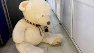 Медведя, набитого сигаретами, изъяли на таможне в Сочи