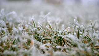 На Кубани ночные температуры воздуха опустятся до +2 градусов