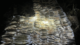 На Кубани осудили браконьера, который нанес ущерб почти неа 400 тысяч рублей