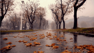 Холодный атмосферный фронт надвигается на Кубань
