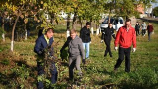 Более 800 человек приняли участие в субботнике в Краснодаре