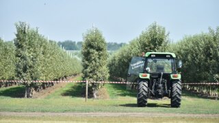 Аграрии Кубани: поддержка власти и стимул к развитию