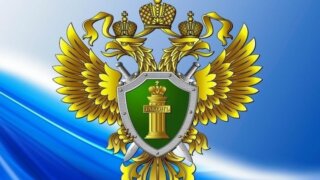 Как прокуратура реагирует на рост кибермошенничества и что нас ждет в будущем