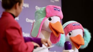 Маскоты Гоша и Маргоша провели пресс-конференцию в Сочи Парк Отеле